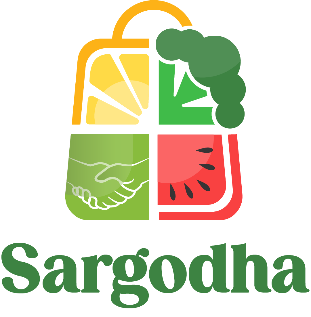 sargodha visit visa